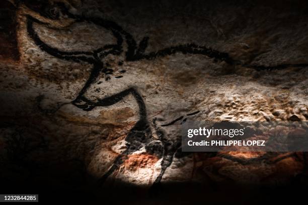 Paintings are seen in the Lascaux cave replica on May 12, 2012 in Montignac, during preparations for its reopening following a closure as part of...