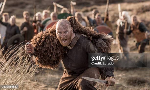 een individuele vikingstrijder voor een hamster van wapen die strijders op het platteland hanteert - veldslag stockfoto's en -beelden