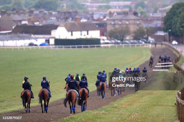 Horses on the gallops at Newmarket Racecourse on May 14, 2021 in Newmarket, England.