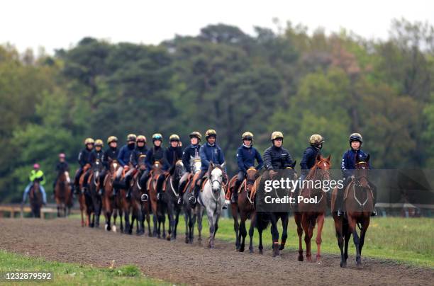 Horses on the gallops at Newmarket Racecourse on May 14, 2021 in Newmarket, England.