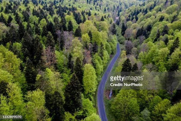 Turnicki forest seen from bird perspective on May 14, 2021 near Arlamow, Carpathians mountains, south-eastern Poland. The Wild Carpathians Initiative...