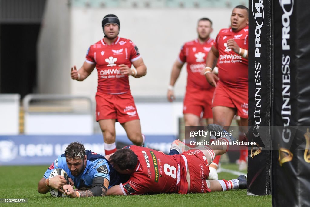 Scarlets v Cardiff Blues - Guinness Rainbow Cup