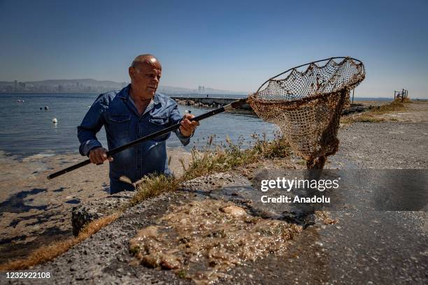 Man cleans out sea saliva , causing the oxygen in the sea to decrease and the spawning areas of the fish to narrow, on surface of sea in Maltepe...