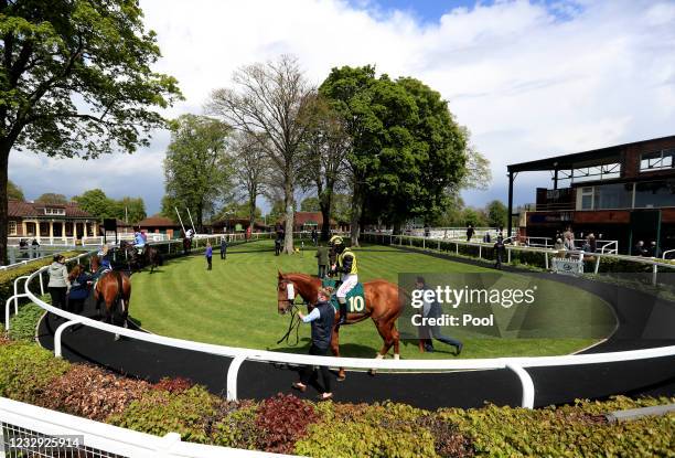 Ripon Races Ripon Races Photos and Premium High Res Pictures - Getty Images