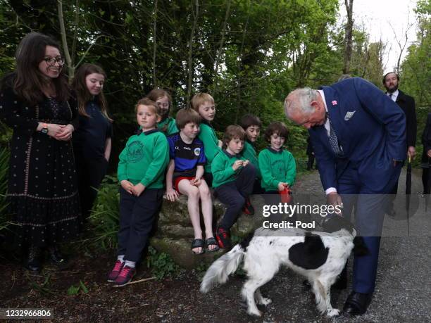 Prince Charles, Prince of Wales greets springer spaniel Willow, whose birthday is today, as children from Dromintree Primary School during a visit to...