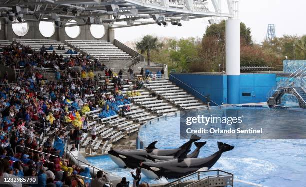 &apos;Believe, The Spectacular Shamu Show,&apos; resumes at SeaWorld&apos;s Shamu Stadium, three days after an orca killed veteran trainer Dawn...