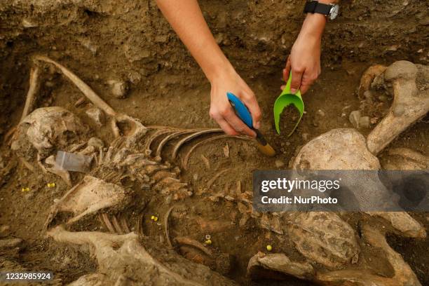 Forensic archaeologists work cleaning and exhuming some bodies found in a common grave on May 19, 2021 in Viznar , Spain. An interdisciplinary team...