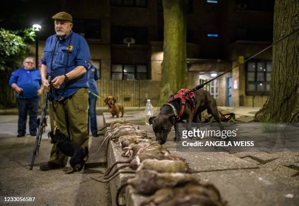 Members of 'The Ryder's Alley Trencher-fed Society ' meet with their dogs to vermin control a neighborhood in lower Manhattan on May 14, 2021 in New...