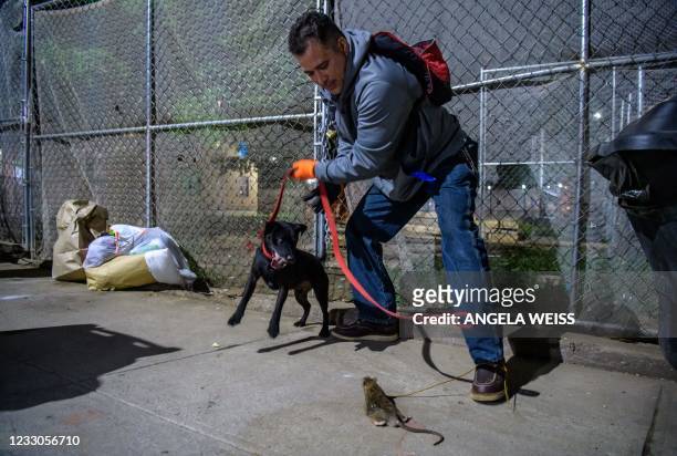 Jason Rivera of 'The Ryder's Alley Trencher-fed Society ' and his dog attempt to catch a rat in lower Manhattan on May 14, 2021 in New York City. -...