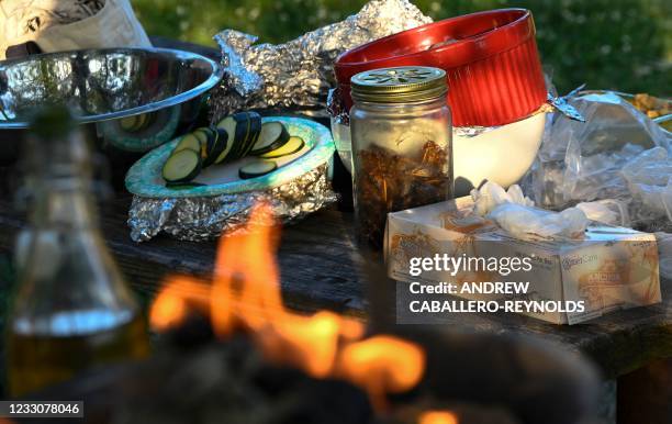 Cooked Cicadas Photos and Premium High Res Pictures - Getty Images