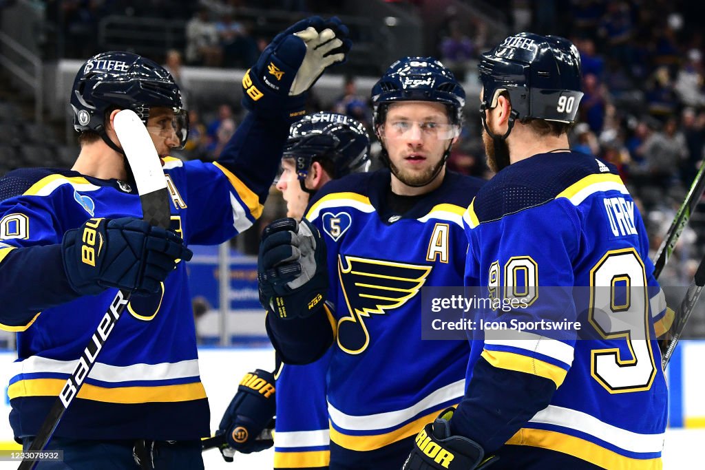 NHL: MAY 23 Stanley Cup Playoffs First Round - Avalanche at Blues