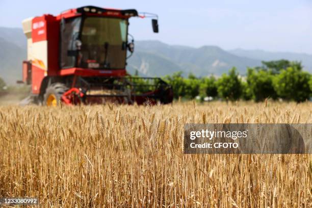 56 Yanhu District Stock Photos, HighRes Pictures, and Images Getty