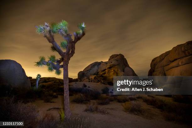 Joshua Tree National Park, CA The super flower blood moon is obscured by clouds early Wednesday, May 26, 2021 in Joshua Tree National Park, CA. This...