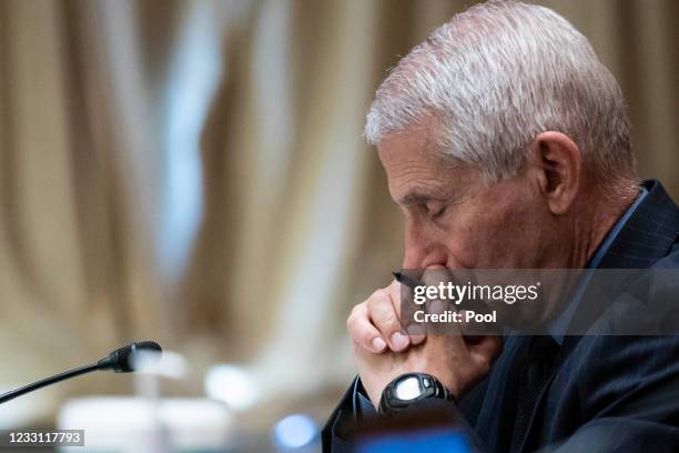 Dr. Anthony Fauci, director of the National Institute of Allergy and Infectious Diseases, listens during a Senate Appropriations Labor, Health and...