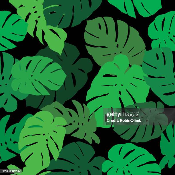 large palm leaves seamless pattern - philodendron stock illustrations