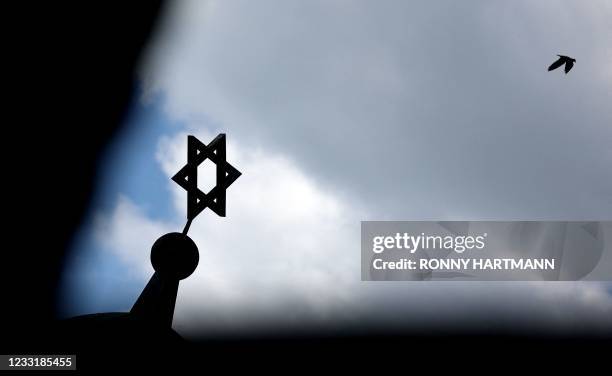 Bird flies past as the Star of David is seen on top of the synagogue in Halle, eastern Germany, on May 30, 2021. - In October 2019, Germany was...