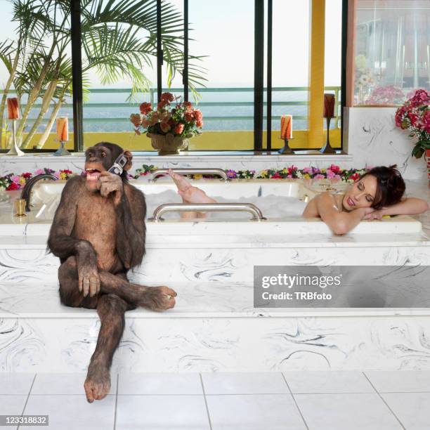 monkey talking on cell phone while woman takes a bath - funny looking at phone stock pictures, royalty-free photos & images