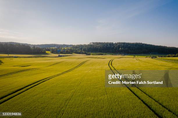 aerial view of an agricultural land ronglan, norway - farm norway stock pictures, royalty-free photos & images