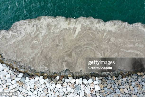 Drone photo shows sea saliva covers surface of sea at Bostanci coast in Istanbul, Turkey on June 1, 2021.