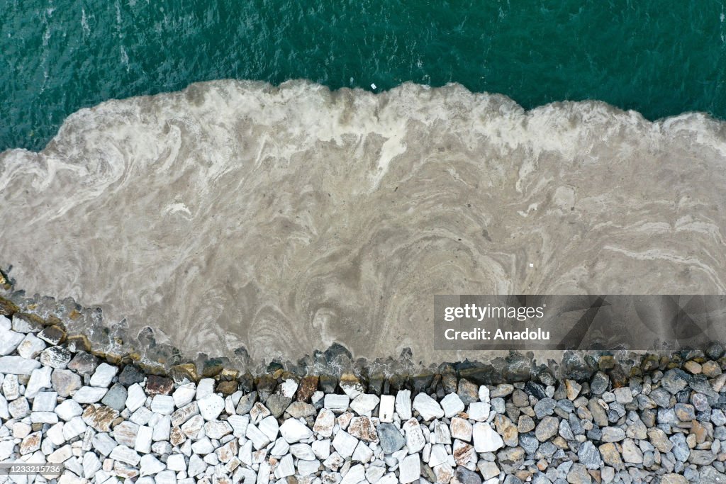 "Mucilage" in Sea of Marmara shores