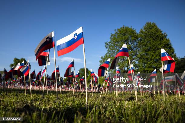 Four thousand two hundred and sixty five paper Slovenian flags turned up overnight in Ljubljanas Tivoli park on Tuesday, symbolizing the 4265 people...