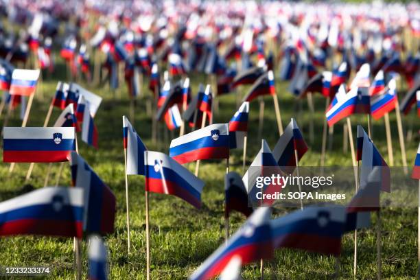 Four thousand two hundred and sixty five paper Slovenian flags turned up overnight in Ljubljanas Tivoli park on Tuesday, symbolizing the 4265 people...