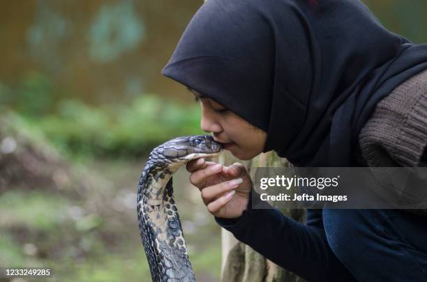 Aulia Khairunnisa plays with a King Cobra as her pets at Lembang, West Java. Indonesia. June 3, 2021. Aulia Khairunnisa as reptile lover has thirteen...