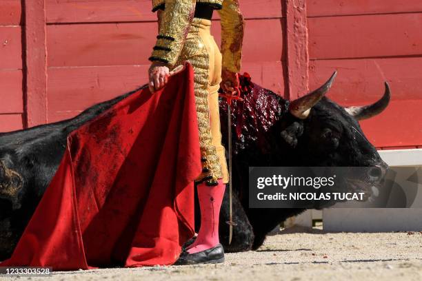 Spanish matador Daniel Luque stands next to a fighting bull in the arena of Arles, southern France, on June 6 on the opening day of the Arles Feria....