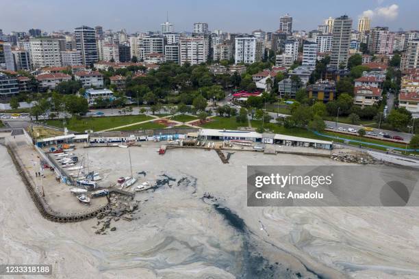 Drone photo shows an aerial view of mucilage, also known as sea snot, covering the surface of sea shores including Kadikoy, Kurbagalidere,...