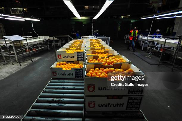 General view of the visit to the port of Durban to see off the first shipment of South African citrus to the Philippines on June 08, 2021 in Durban,...