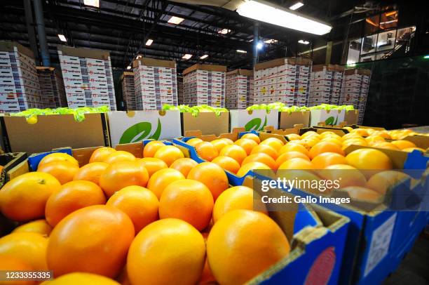 General view of the visit to the port of Durban to see off the first shipment of South African citrus to the Philippines on June 08, 2021 in Durban,...