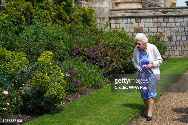 Queen Elizabeth II views a border in the gardens of Windsor Castle, where she received a Duke of Edinburgh rose, given to her by the Royal...