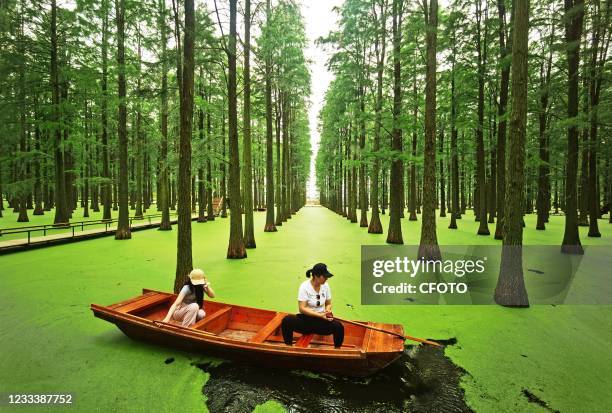 Tourists visit the water forest of Luyang Lake Wetland Park in Yangzhou City, Jiangsu Province, China on June 11, 2021.