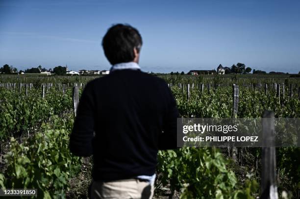 Cheval Blanc's technical director Pierre-Olivier Clouet walks in the vineyards of the Chateau Cheval Blanc's Premier Grand Cru Classe A domain, in...