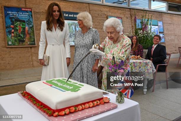 Queen Elizabeth II attempts to cut a cake with a sword, lent to her by The Lord-Lieutenant of Cornwall, Edward Bolitho, to celebrate of The Big Lunch...