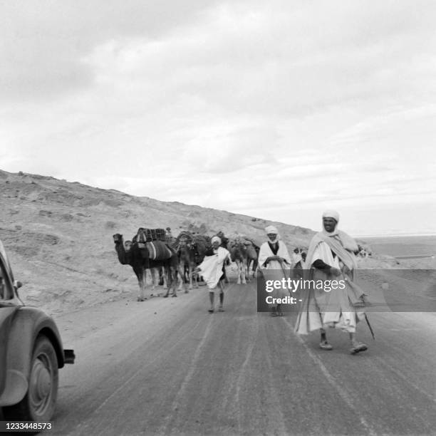 Algerian men lead their camels on a road, on November 15, 1954 in the Aurès mountains, where the French army is carrying out a large-scale military...