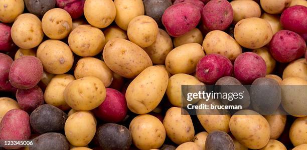 papas - patata fotografías e imágenes de stock