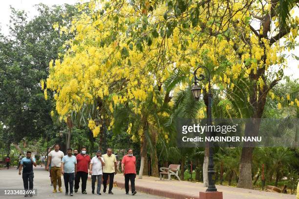 People take their daily exercise walking under Amaltas trees in a public garden in Amritsar on June 16, 2021.