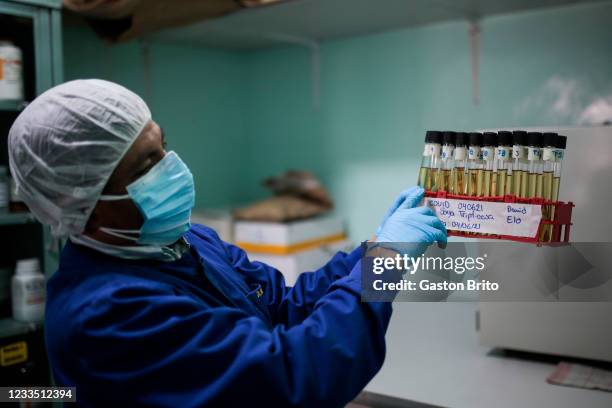 Doctor Marcos Zuñagua shows tubes with donkey plasma into which the Covid-19 virus has been inserted at Inlasa on June 17, 2021 in La Paz, Bolivia....