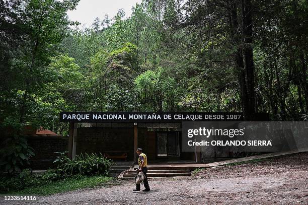 Celaque National Park Photos and Premium High Res Pictures - Getty Images