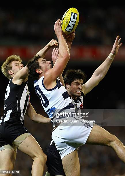 Daniel Menzel of the Cats marks infront of Leigh Brown of the Magpies during the round 24 AFL match between the Collingwood Magpies and the Geelong...