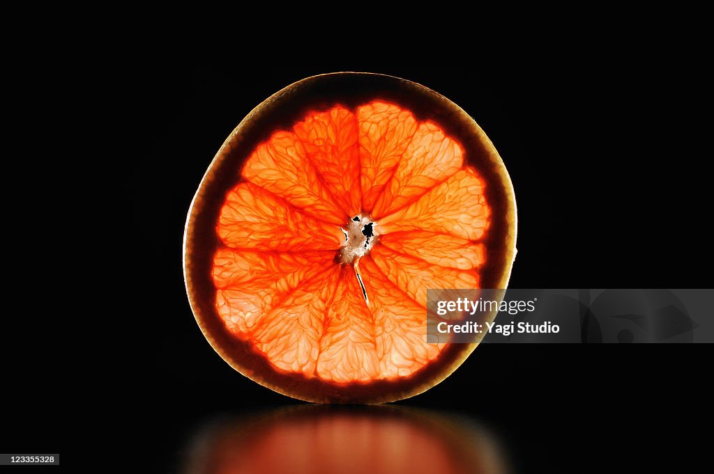 Pink grapefruit slice is illuminated black backgro