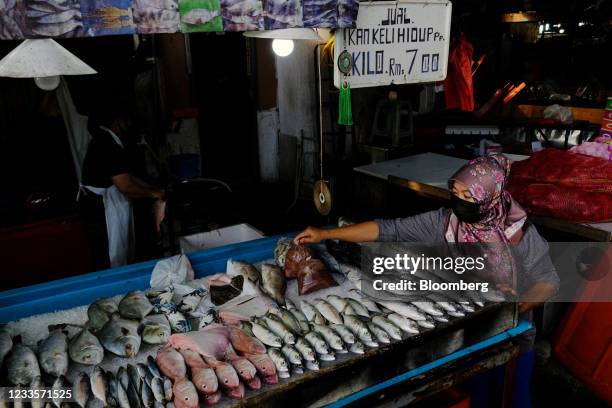 Pasar Fish Pasar Malaysia Photos and Premium High Res Pictures - Getty Images