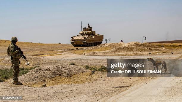Dog barks as a US soldier stands near a Bradley Fighting Vehicle during a patrol near the Rumaylan oil wells in Syria's northeastern Hasakeh province...