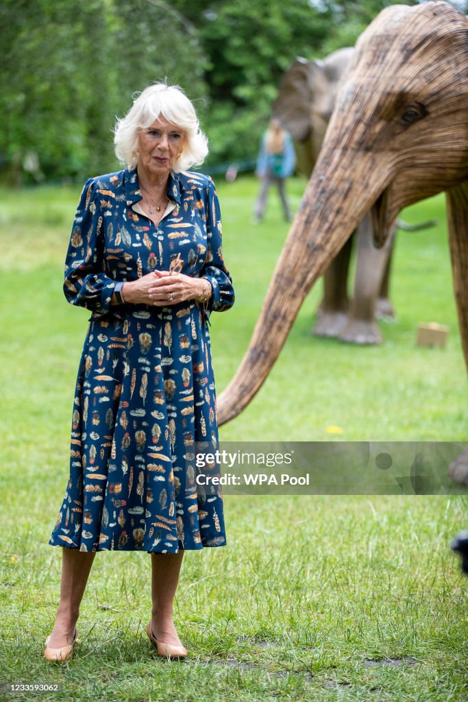 The Duchess Of Cornwall Attends Literacy Engagements In London