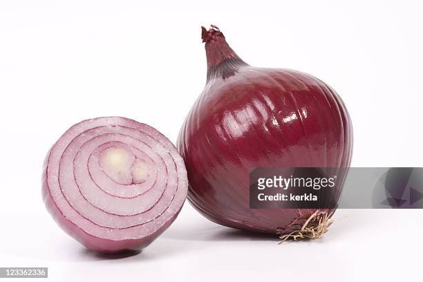 close up of a red onion - spanish onion bildbanksfoton och bilder