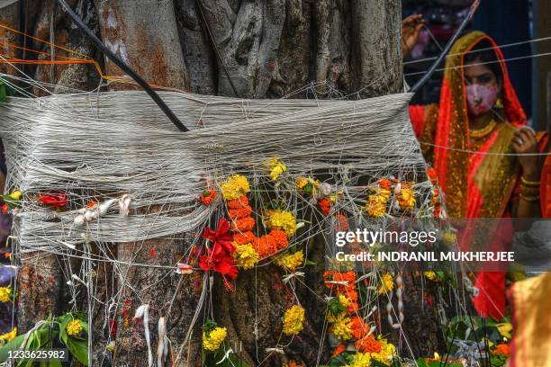 Graphic content / A married Hindu woman offers prayers while circumambulating around a banyan tree tying a thread on the occasion of 'Vata Savitri...