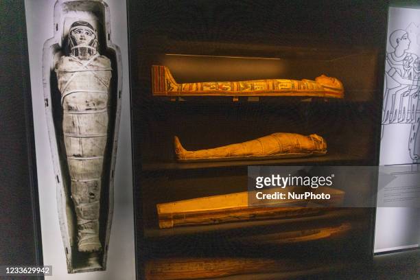 The Egyptian Museum opens to the public &quot;In search of Life&quot;, a new permanent exhibition room dedicated to life in ancient Egypt through the...