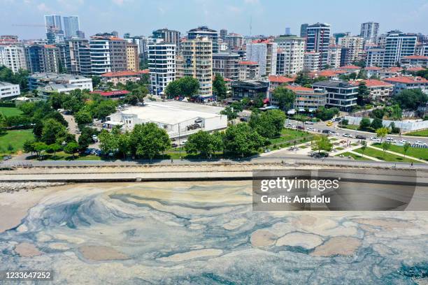 Drone photo shows mucilage continuing to cover the surface of Marmara sea at the Caddebostan shore in Istanbul, Turkey on June 25, 2021.