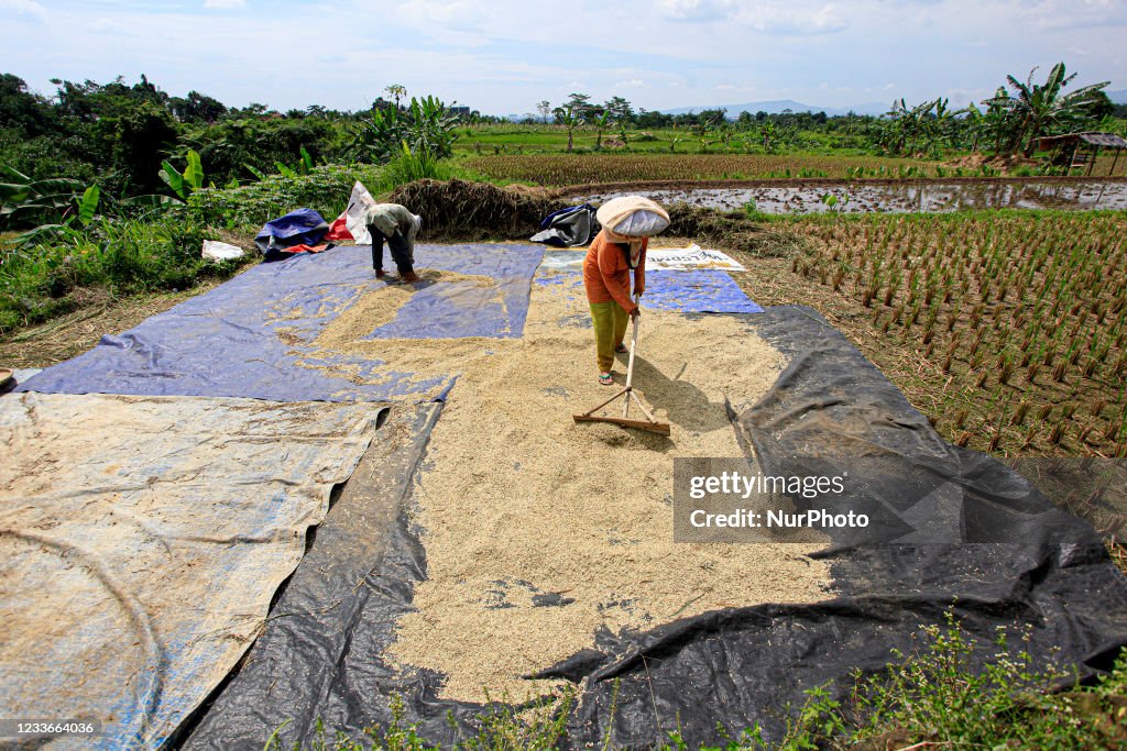 Indonesia Economy Agriculture